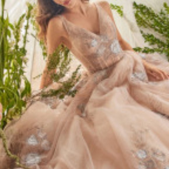 Blush Tulle Ballgown